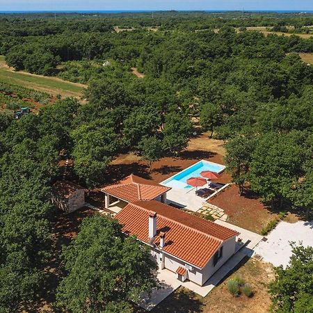 Villa Martinetinka Vodnjan Kültér fotó