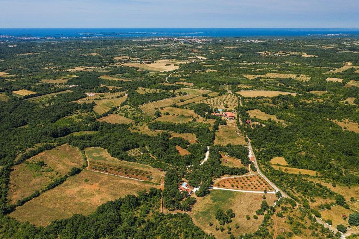 Villa Martinetinka Vodnjan Kültér fotó