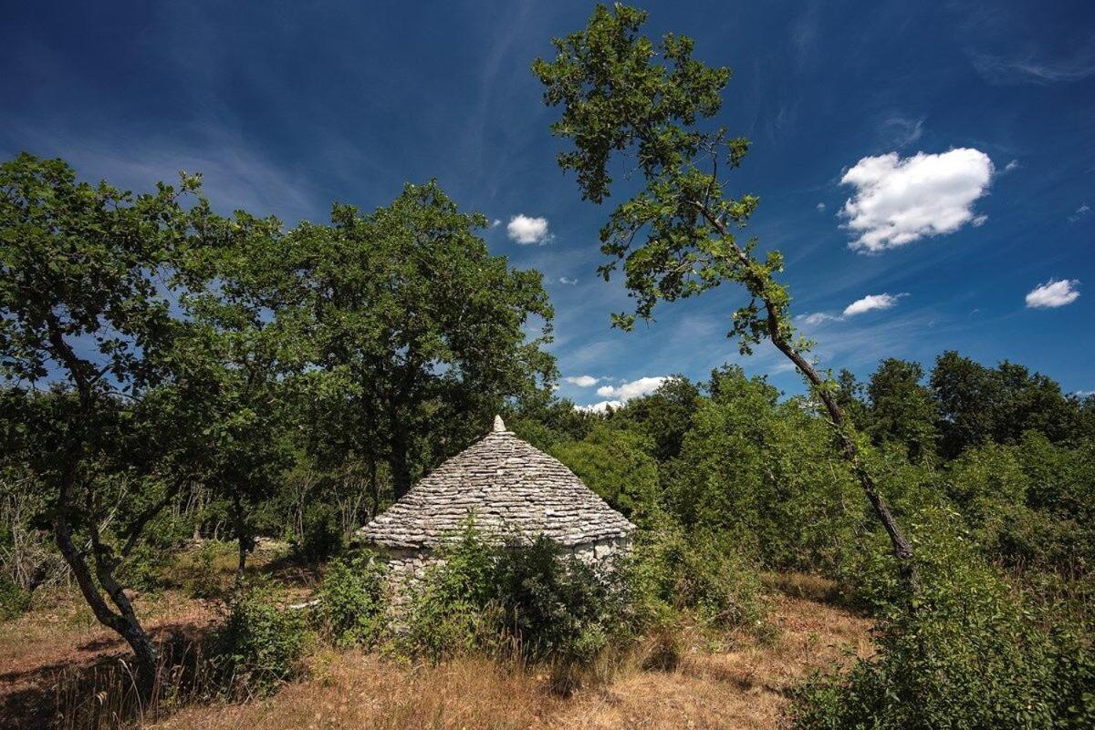 Villa Martinetinka Vodnjan Kültér fotó