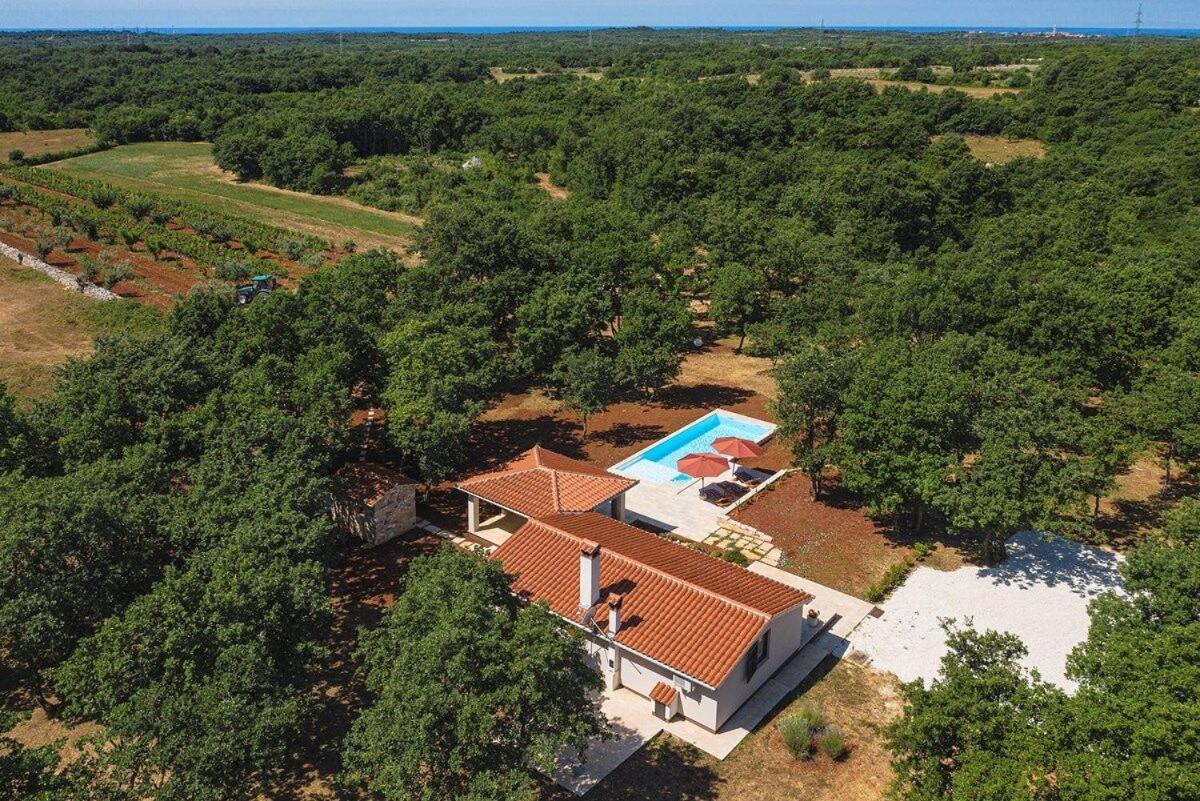 Villa Martinetinka Vodnjan Kültér fotó