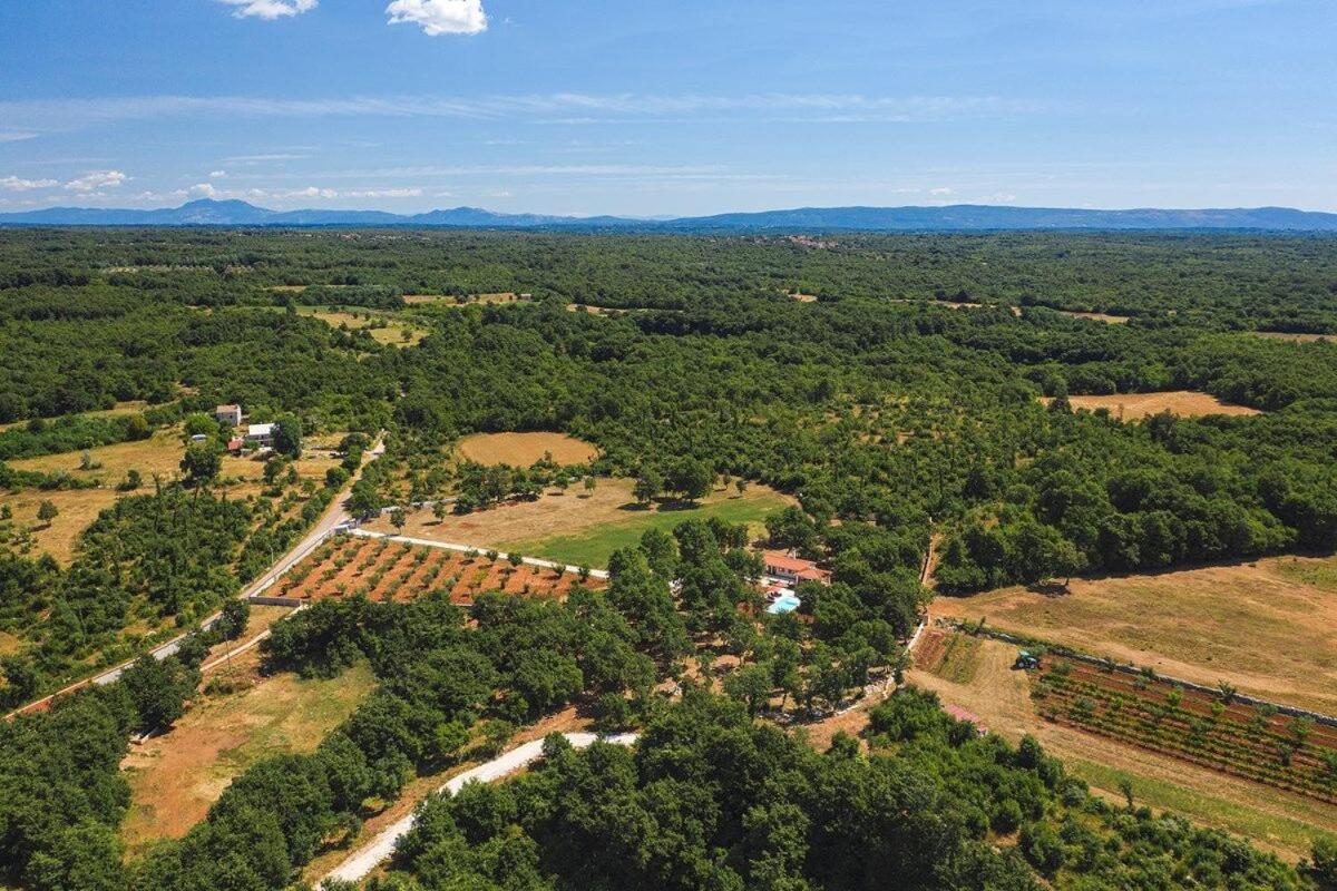 Villa Martinetinka Vodnjan Kültér fotó