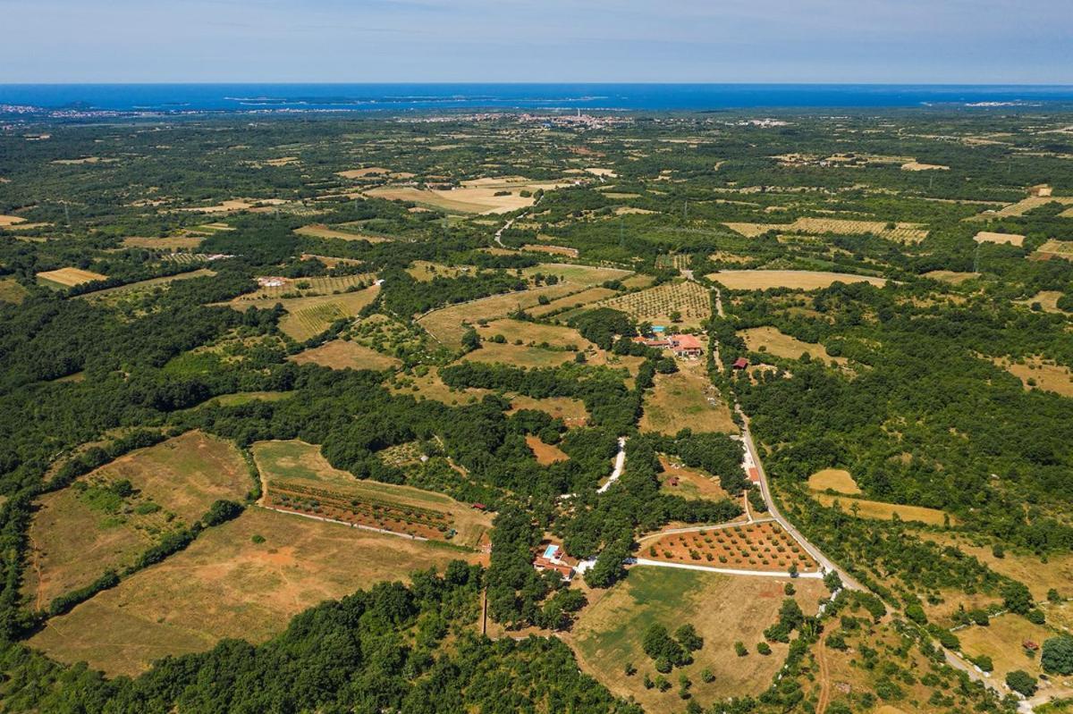 Villa Martinetinka Vodnjan Kültér fotó