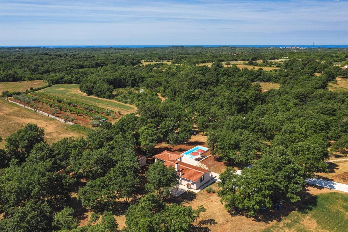 Villa Martinetinka Vodnjan Kültér fotó
