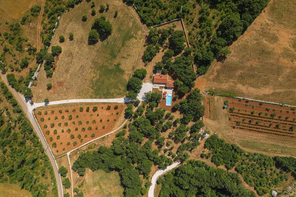 Villa Martinetinka Vodnjan Kültér fotó