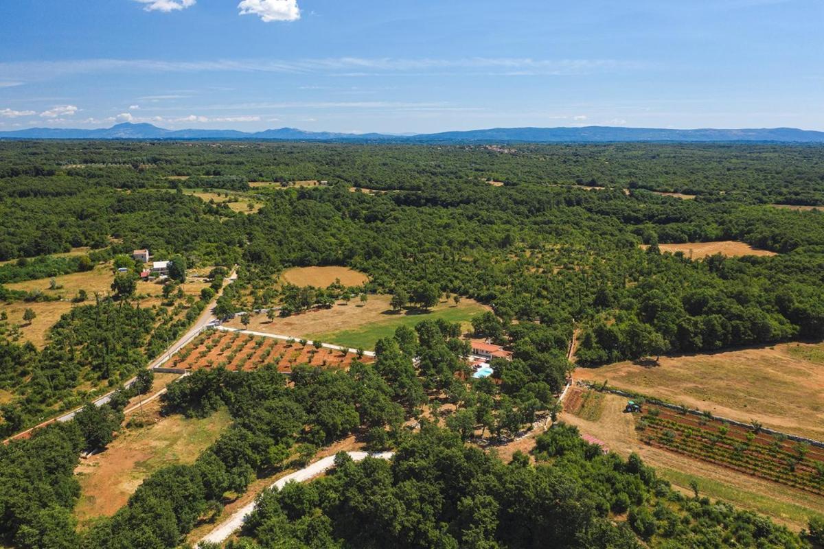 Villa Martinetinka Vodnjan Kültér fotó