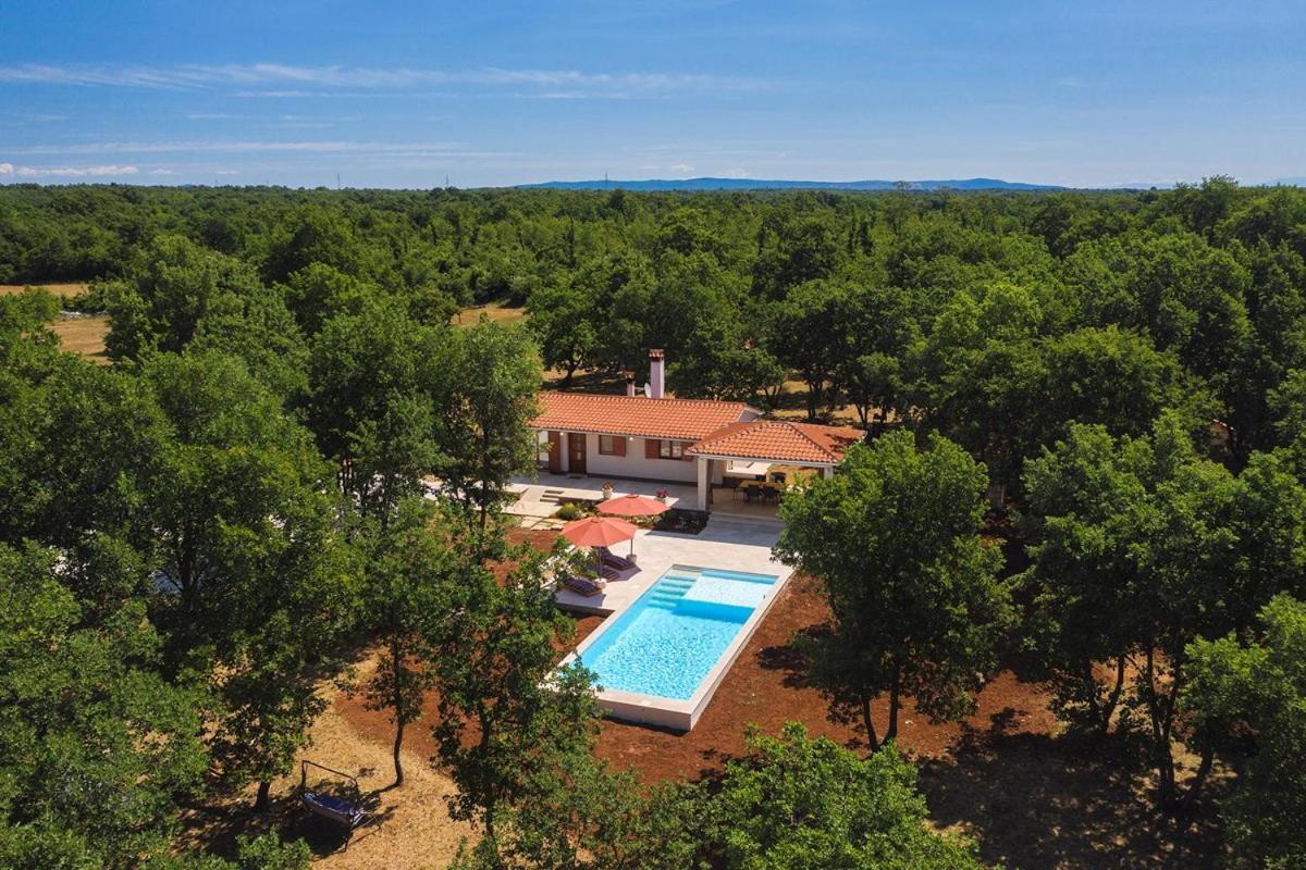 Villa Martinetinka Vodnjan Kültér fotó